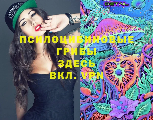 скорость Новозыбков