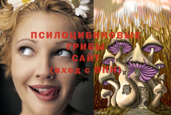 ALPHA-PVP Новодвинск
