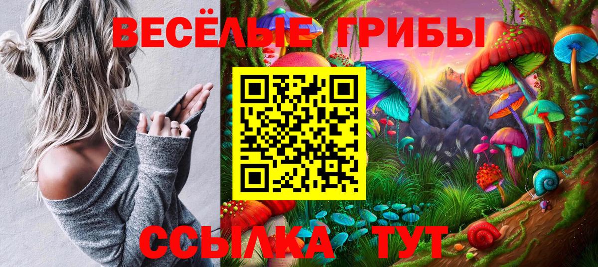 Галлюциногенные грибы Cubensis Черногорск